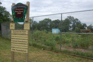 Bandi Schaum Community Garden Sign