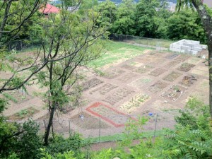 Bandi Schaum Community Garden Plots