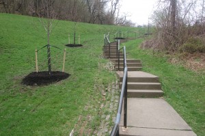 2013-04-13-treeplanting4