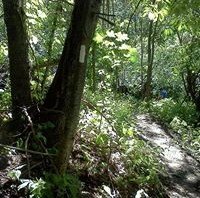 National Trails Day in South Side Park
